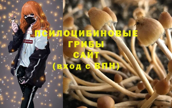 PSILOCYBIN Баксан